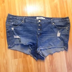 Torrid jean shorts